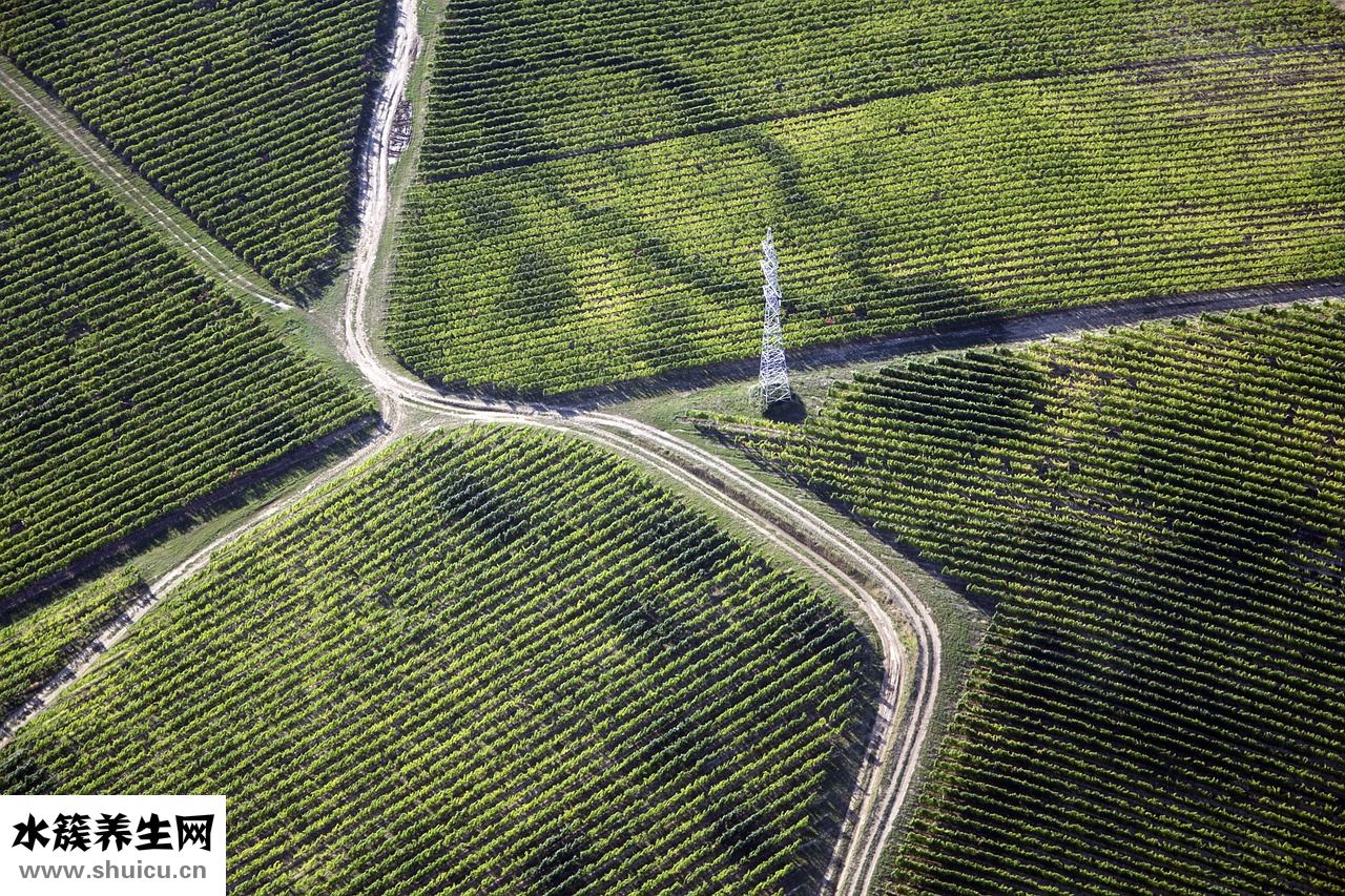 低腰褲是怎么發(fā)明的