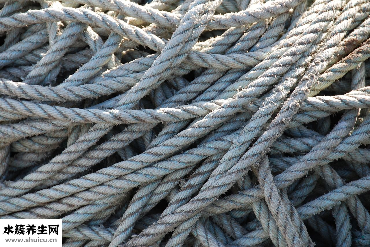 速凍螃蟹怎么做