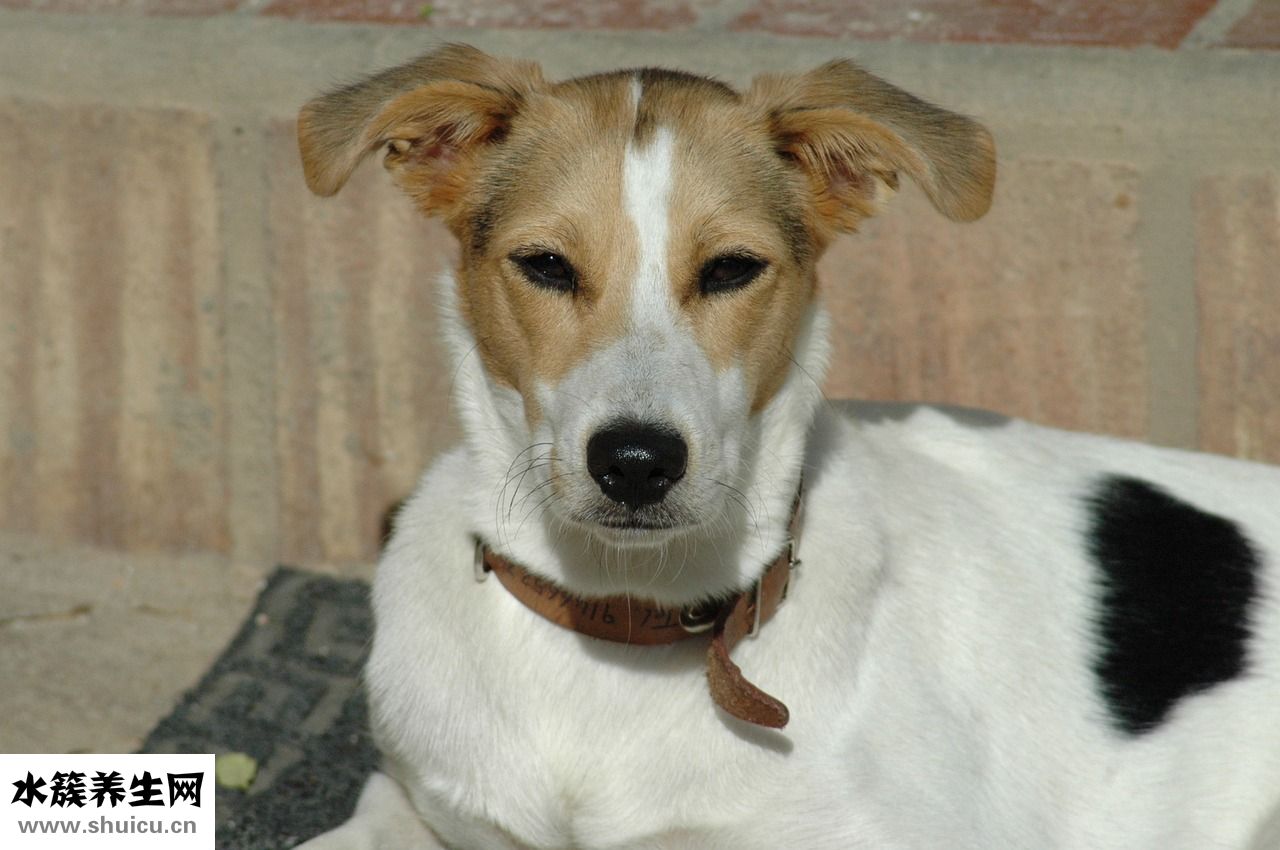 怎么防止臉上長(zhǎng)斑