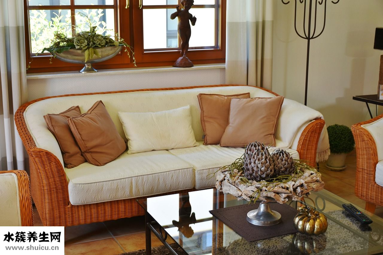 陸龜箱怎么接燈