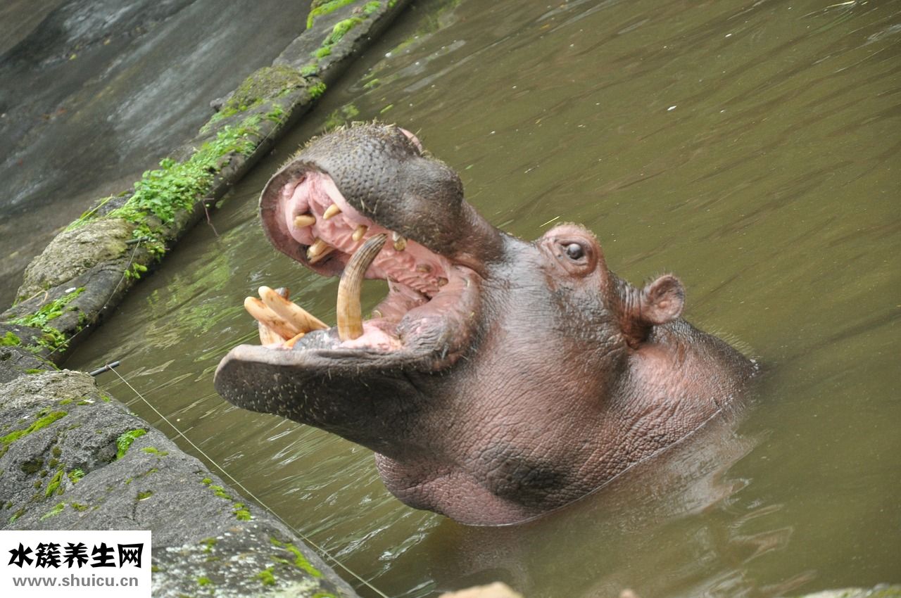 忌奶漲奶怎么辦
