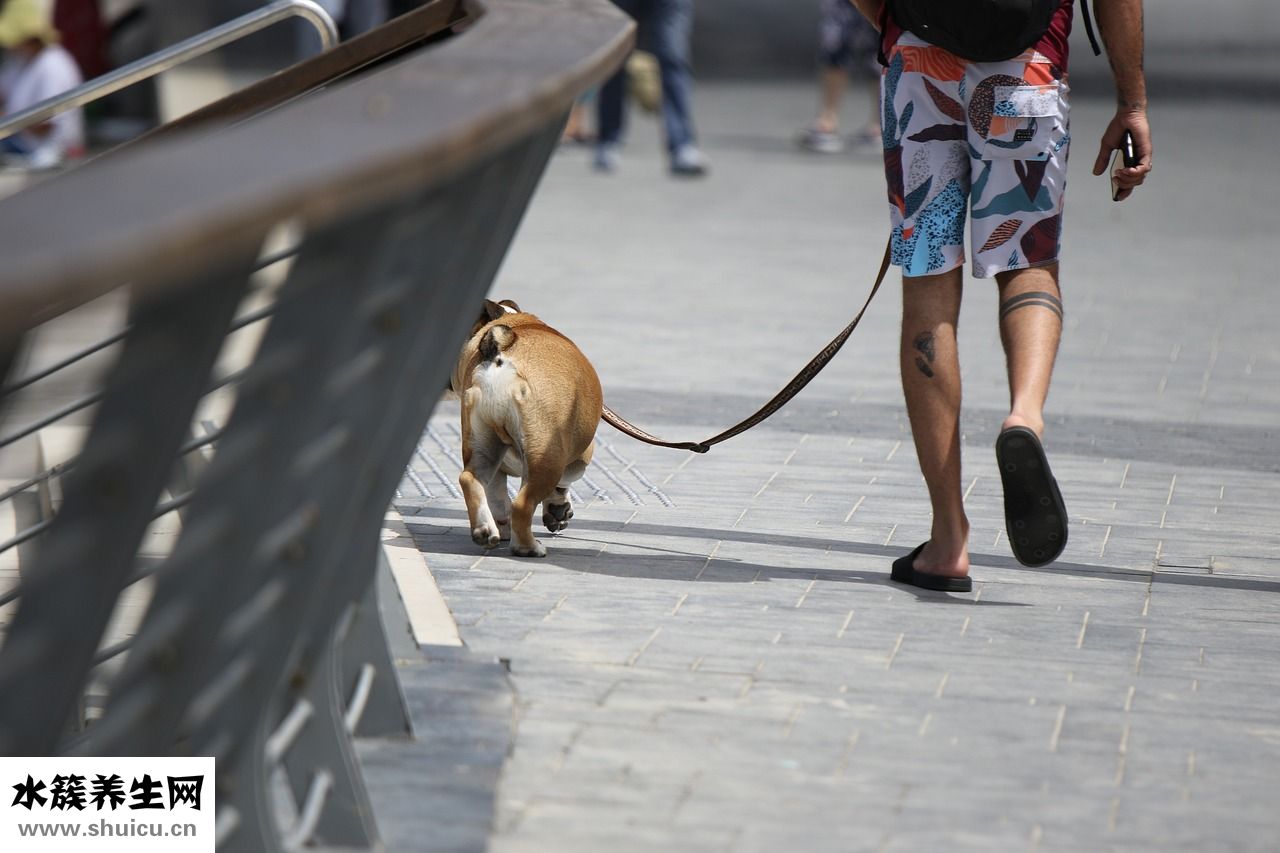 老公不給家用怎么辦