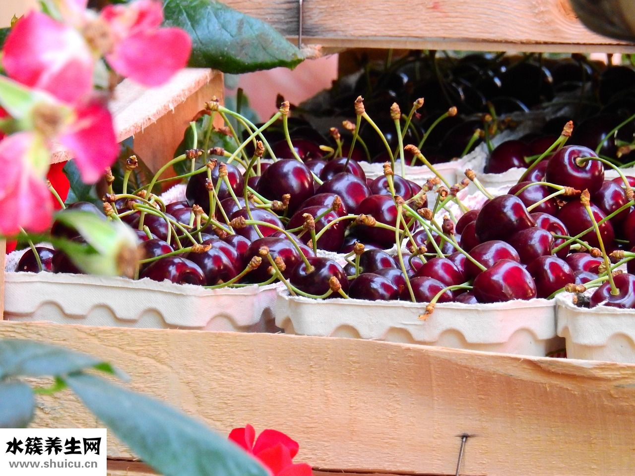 茄子紫色怎么染