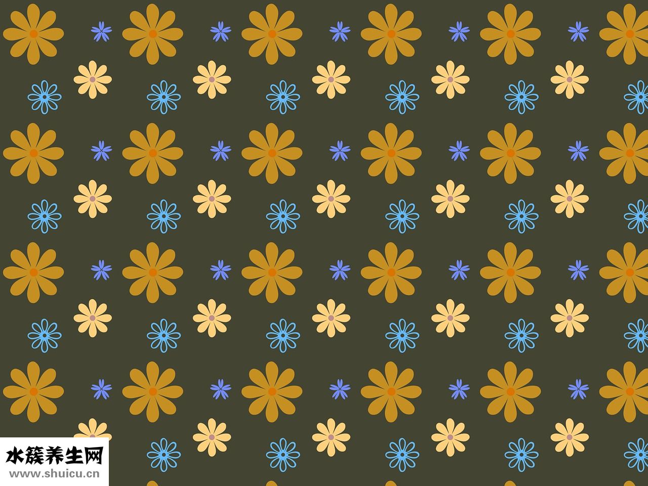 金頭發是怎么回事