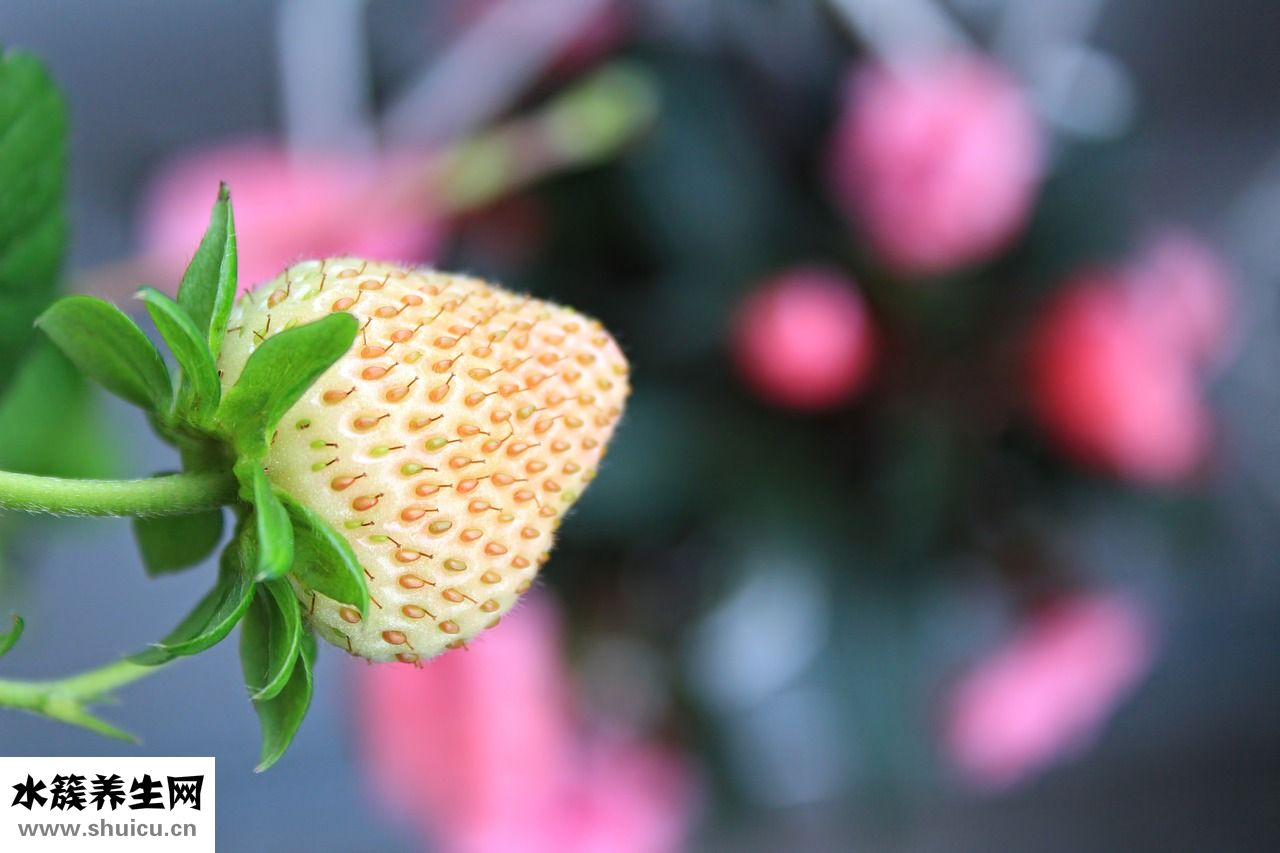 速凍螃蟹怎么做