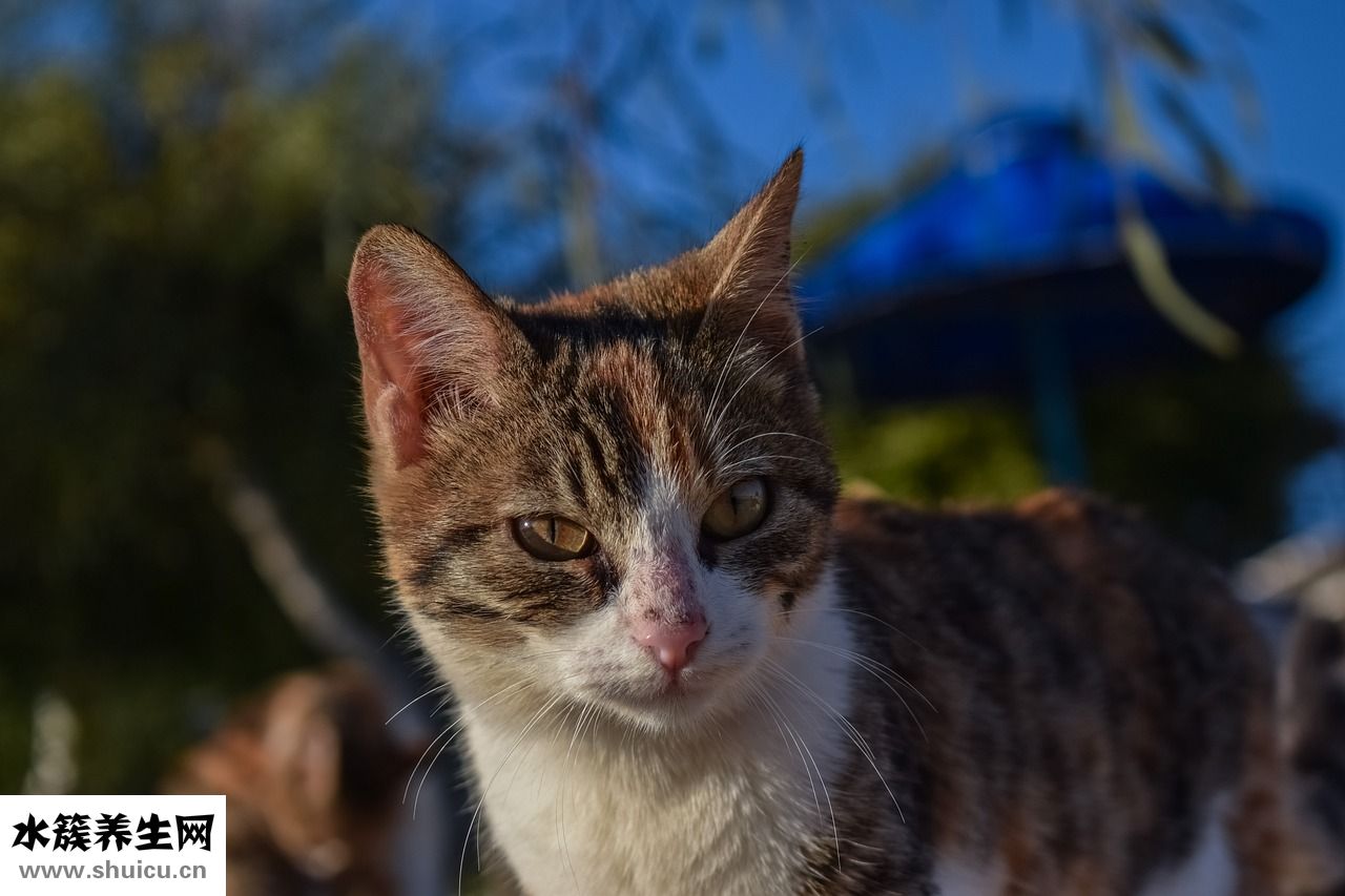 眼鏡找不到了怎么辦