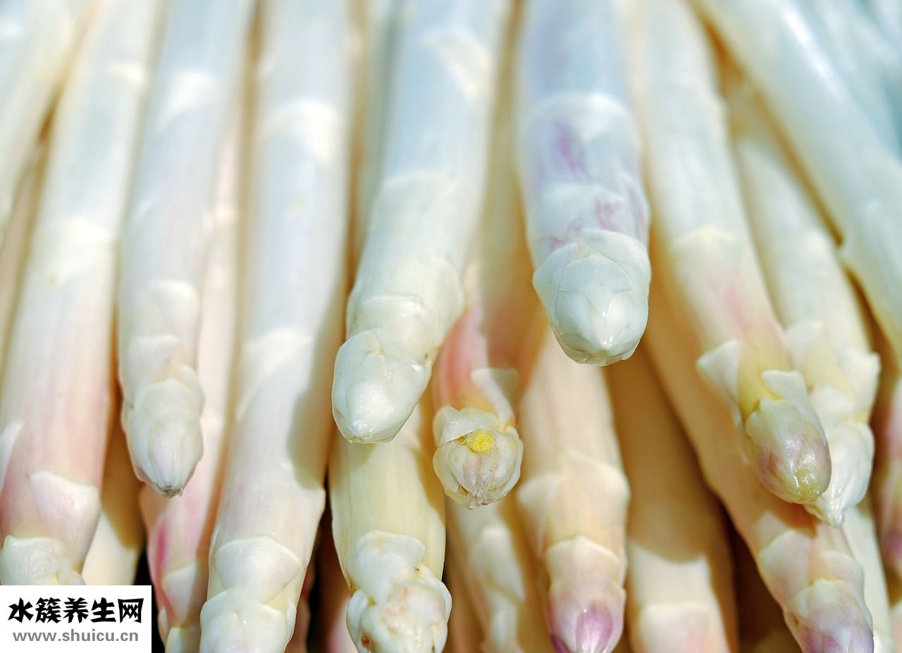 蘆筍怎么做給寶寶吃