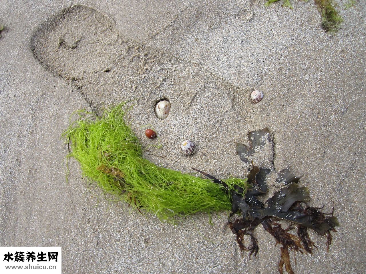 連須發(fā)燒是怎么回事