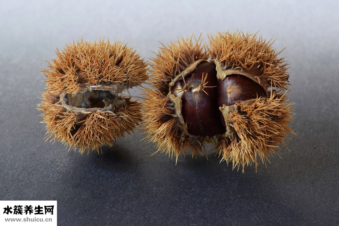 貉子毛掉毛怎么辦