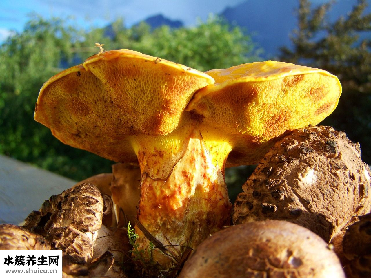 被傳染腳氣怎么辦