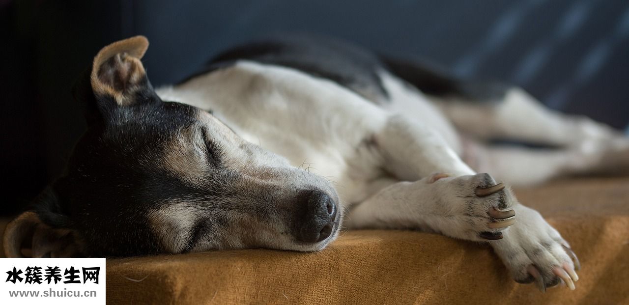 口干口苦怎么治療