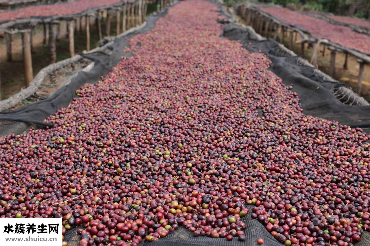 干豌豆泡發后怎么吃