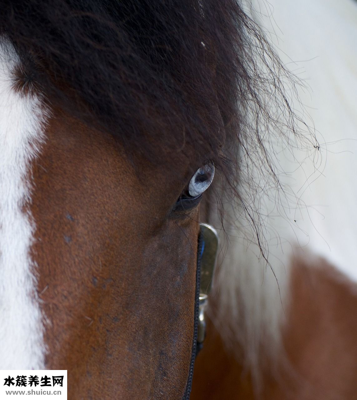 忌奶漲奶怎么辦