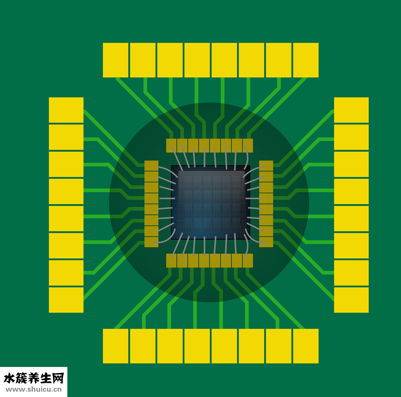 怎么補充睪固酮