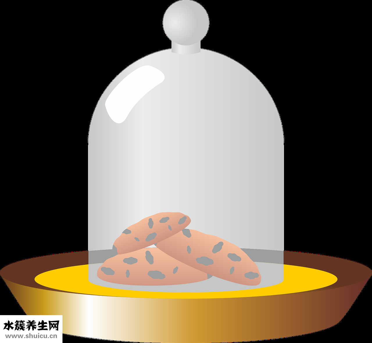 茄子紫色怎么染