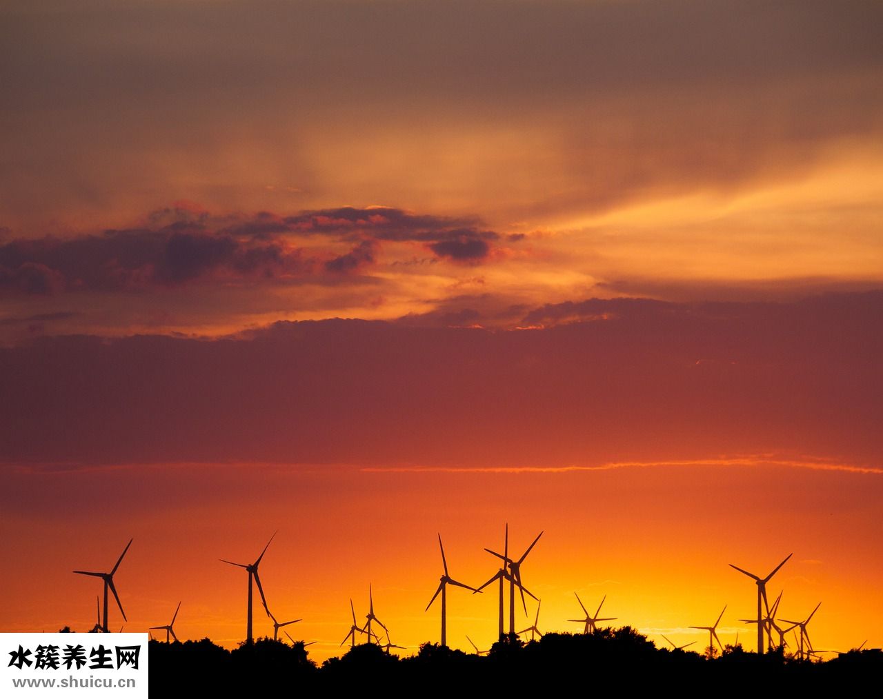 潮汕甜芋頭怎么做
