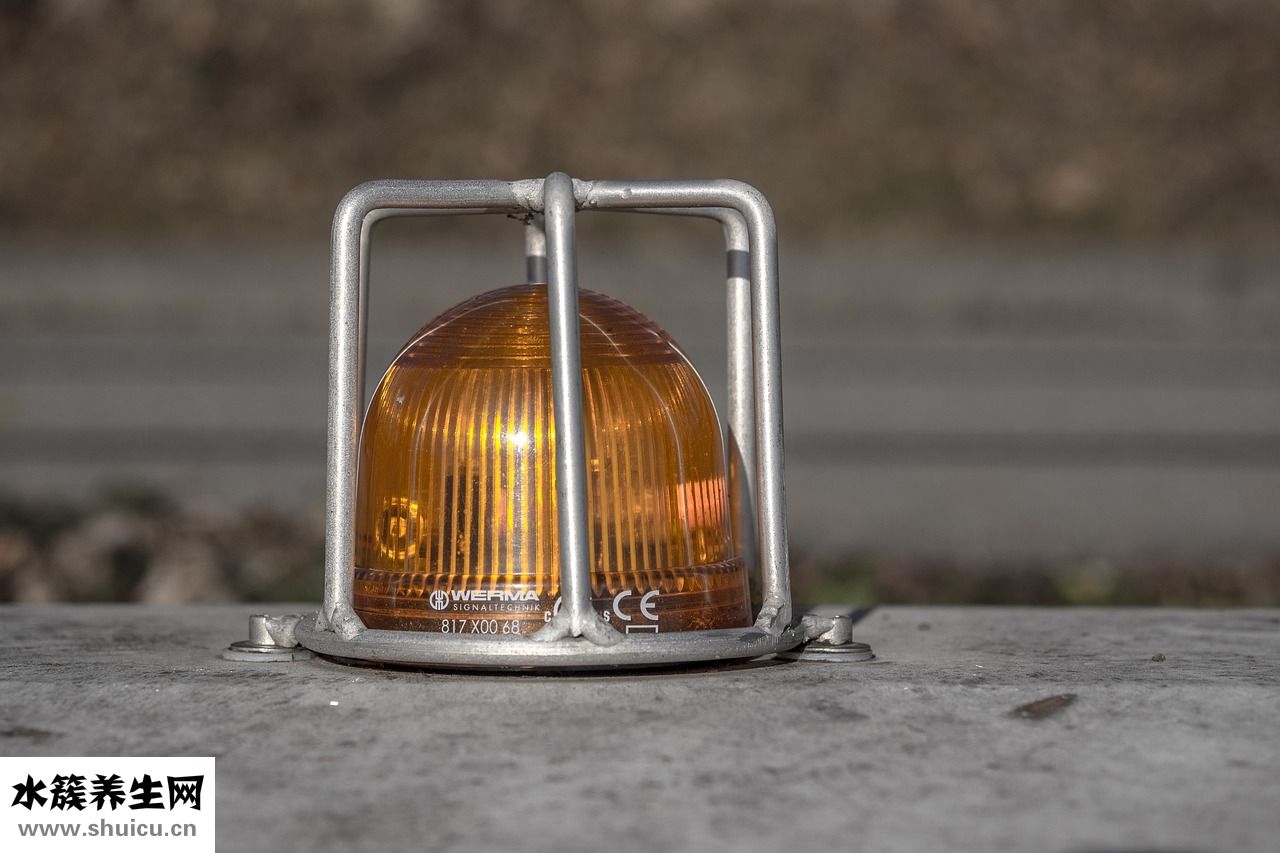 樹根怎么挖出來