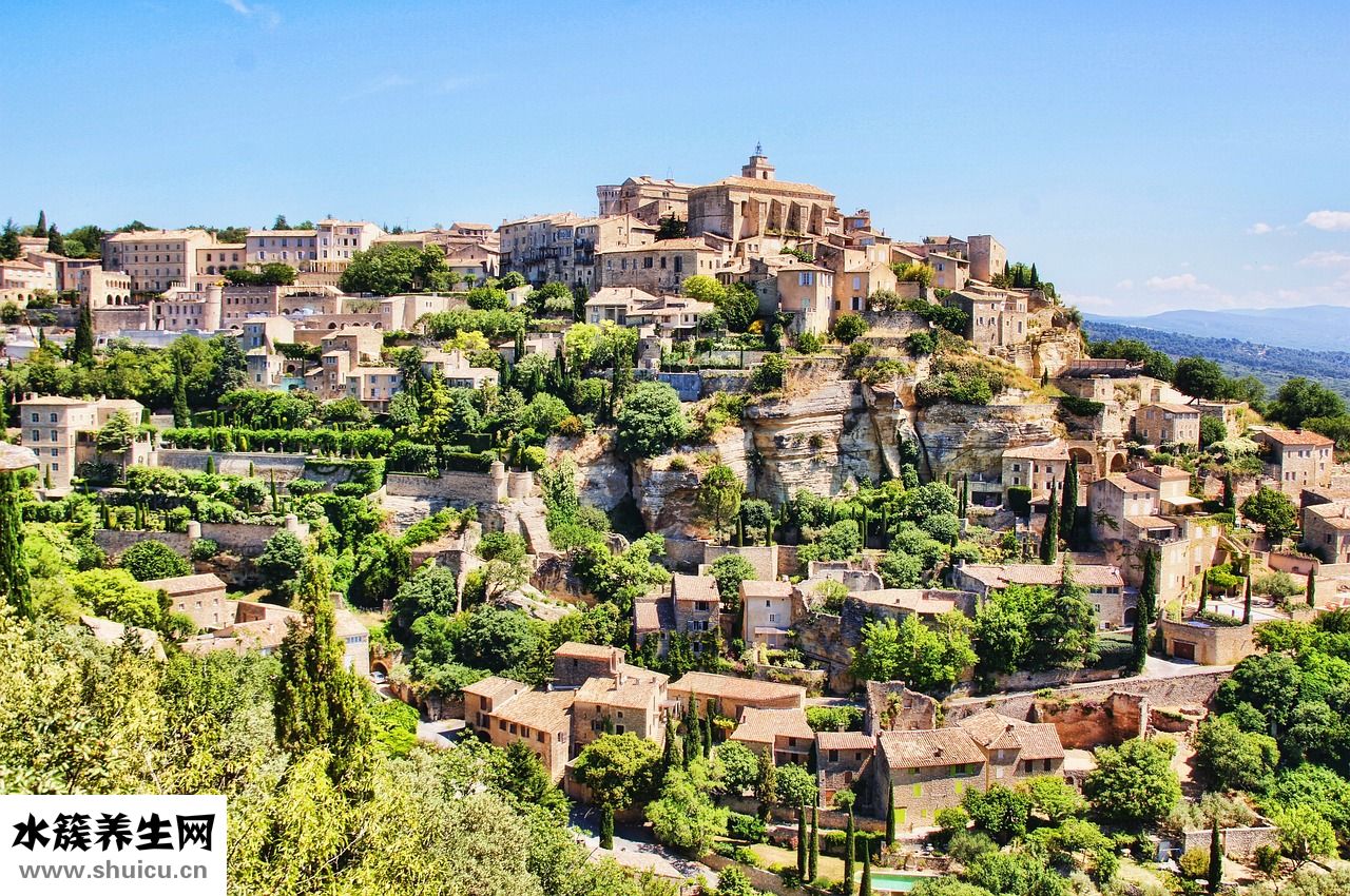 貉子毛掉毛怎么辦