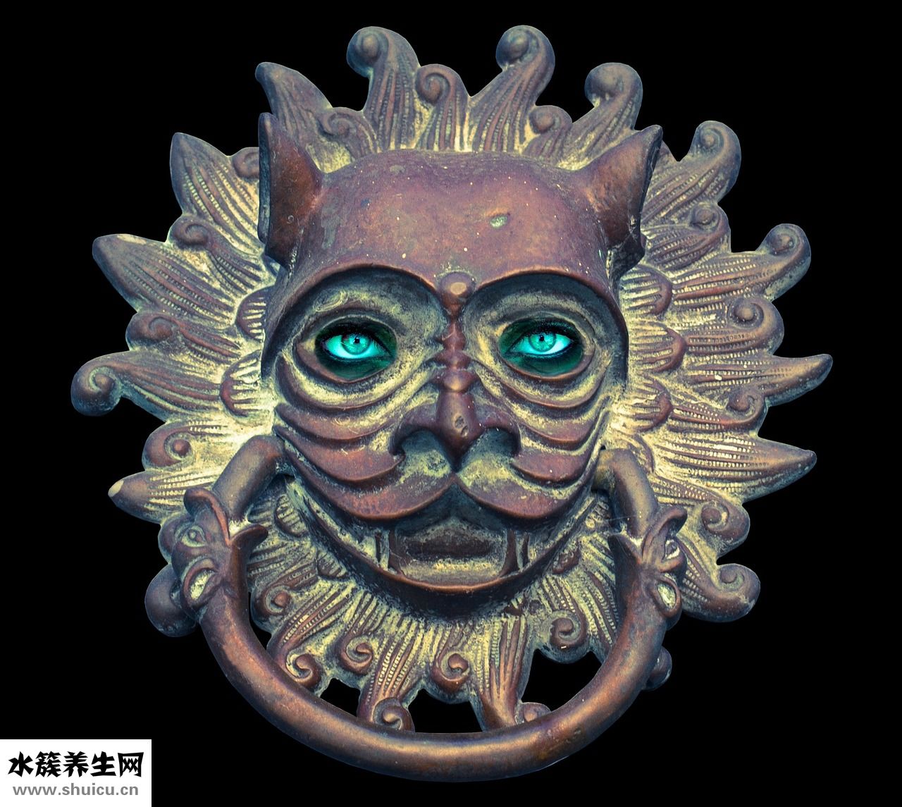 小狗耳朵進(jìn)水怎么辦