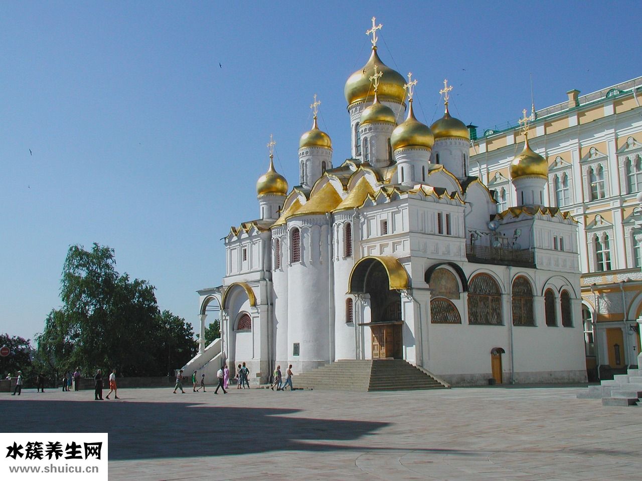 貉子毛掉毛怎么辦