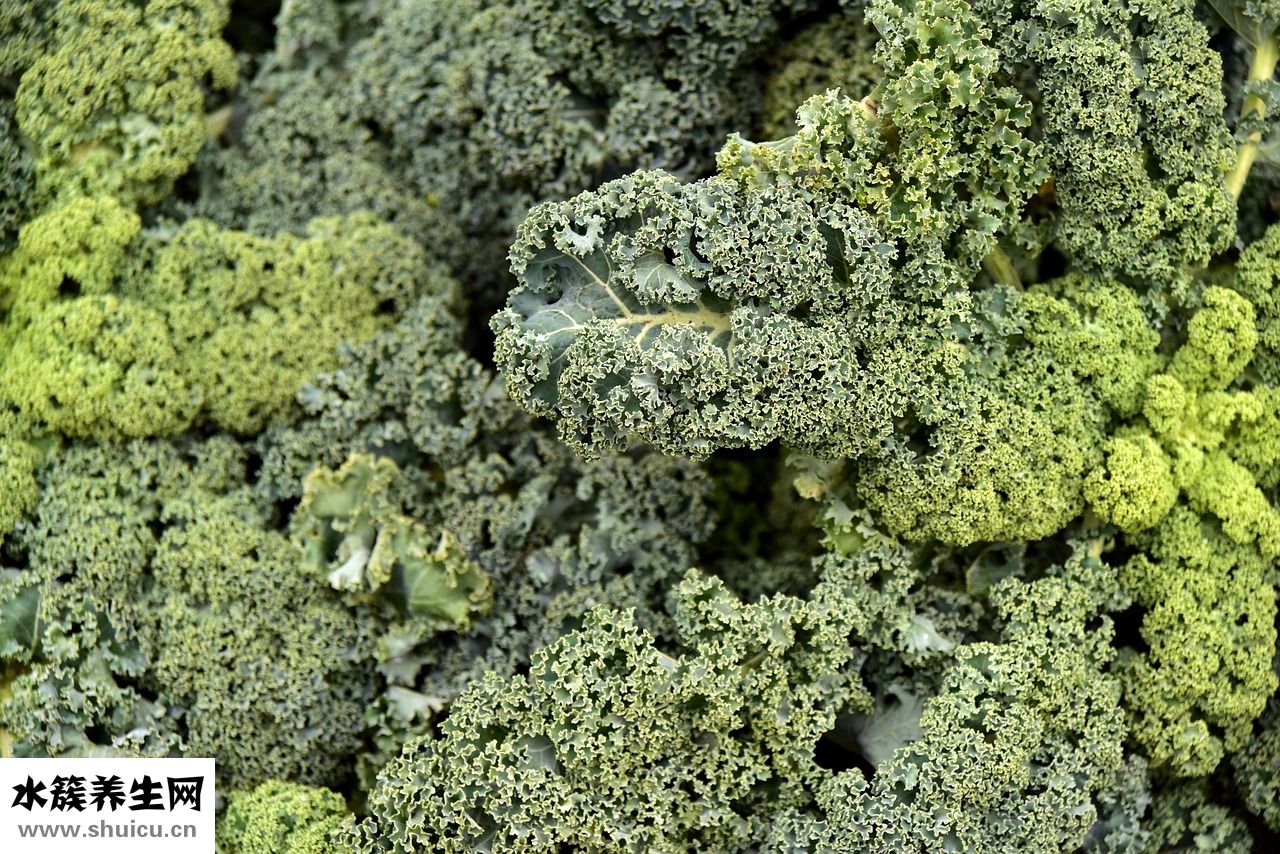 紫甘藍沙拉怎么涼拌