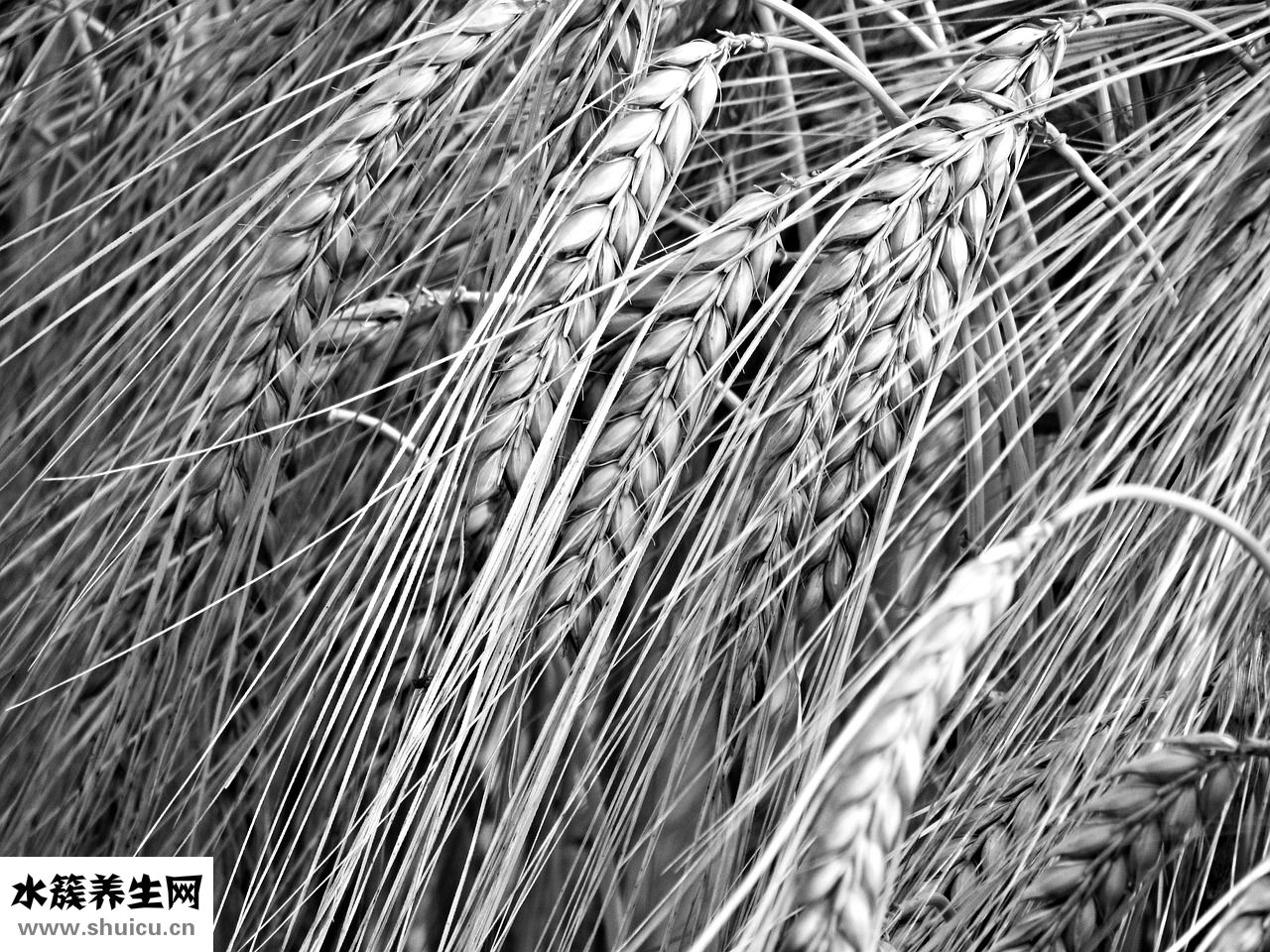 寶寶耳朵進(jìn)奶怎么辦