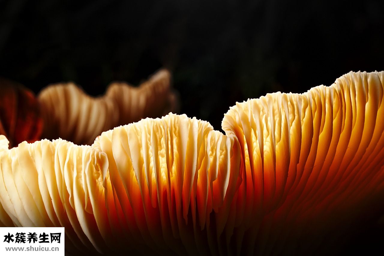 長癬了怎么治療