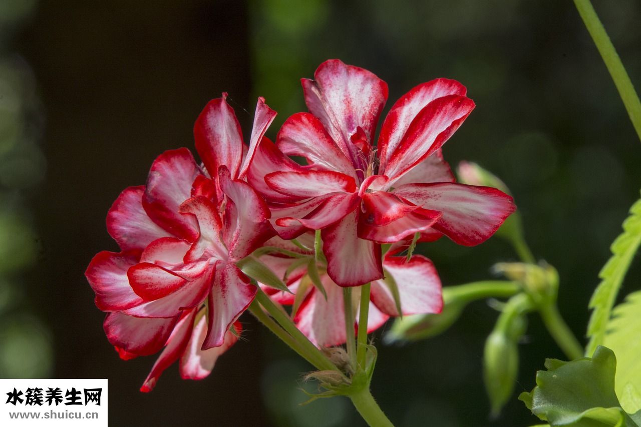 坐著怎么挑逗男人