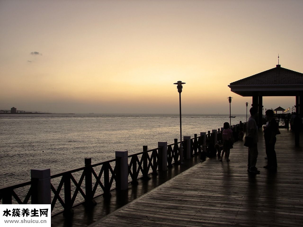 三點蟹怎么做好吃