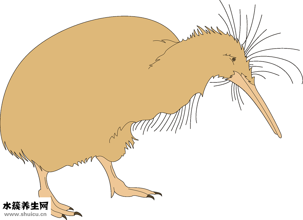 面部脫皮怎么辦