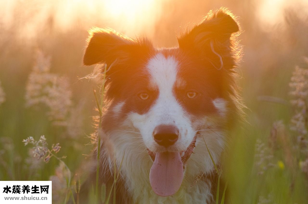 怎么讓寶寶放屁