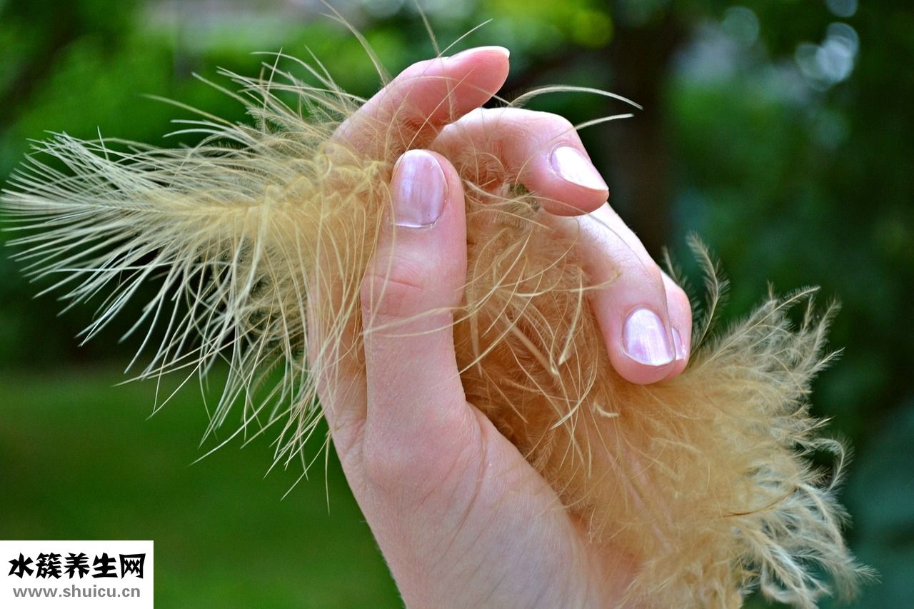 長指甲怎么挖面霜