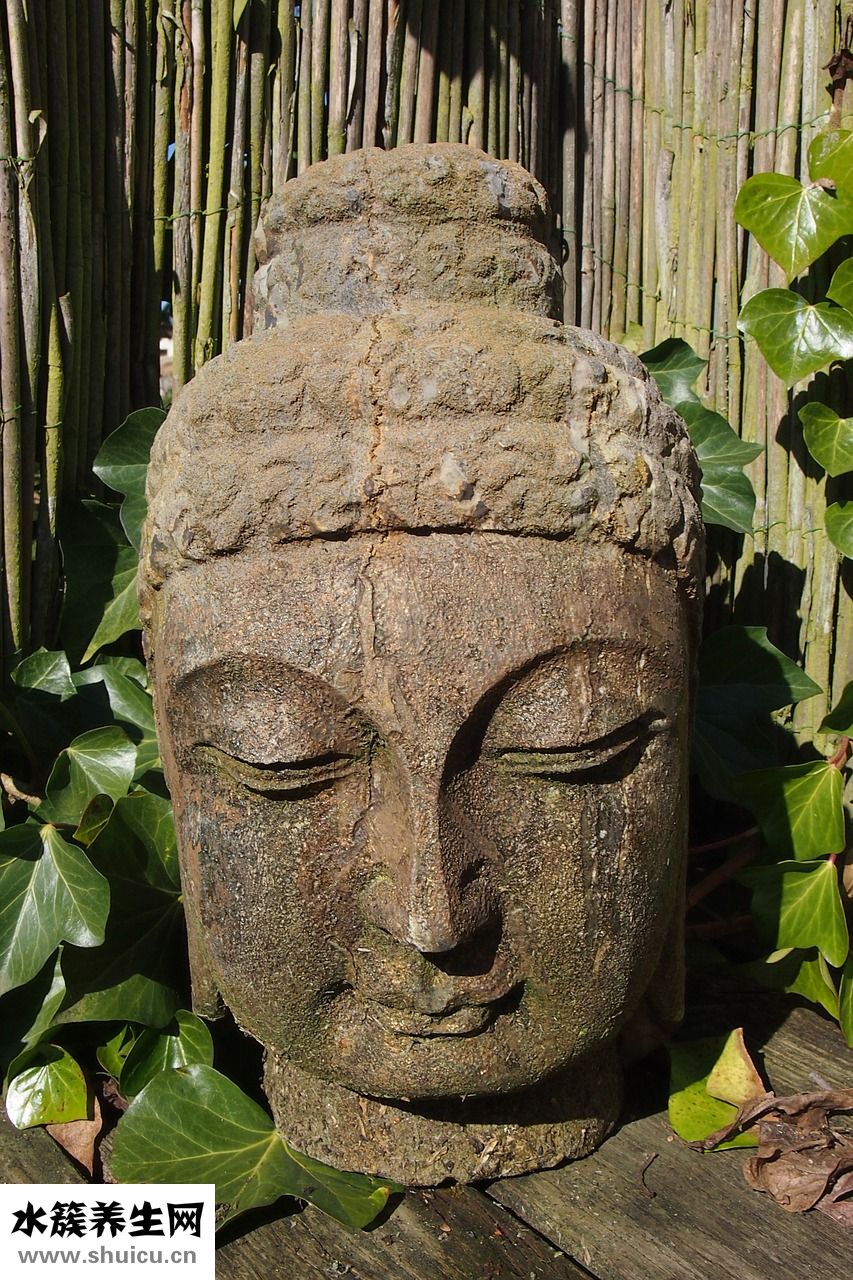 佛頭果怎么催熟