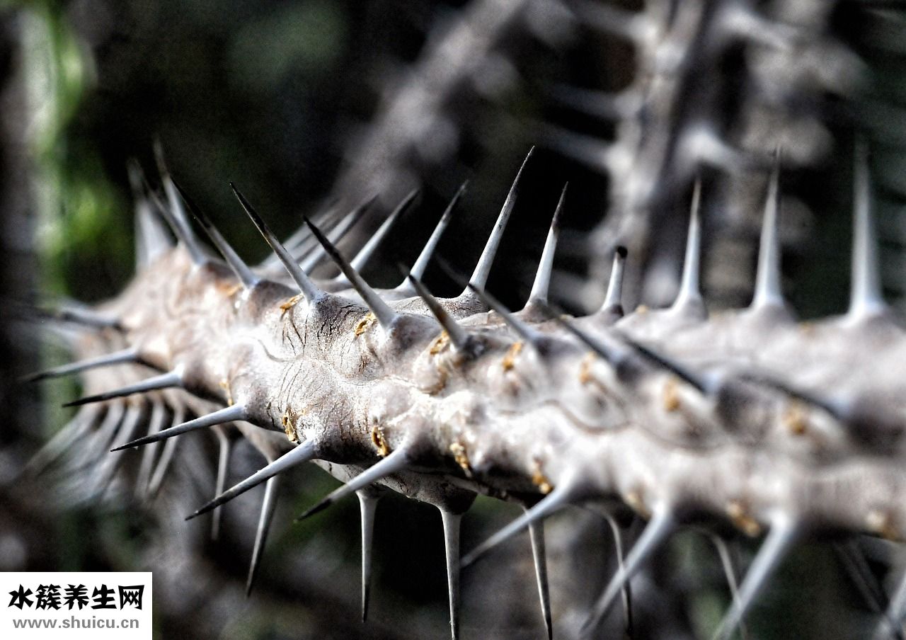 產婦大出血怎么急救