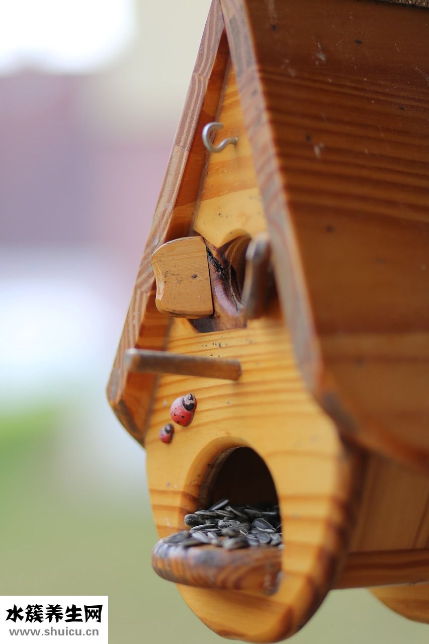 瓜子仁怎么保存