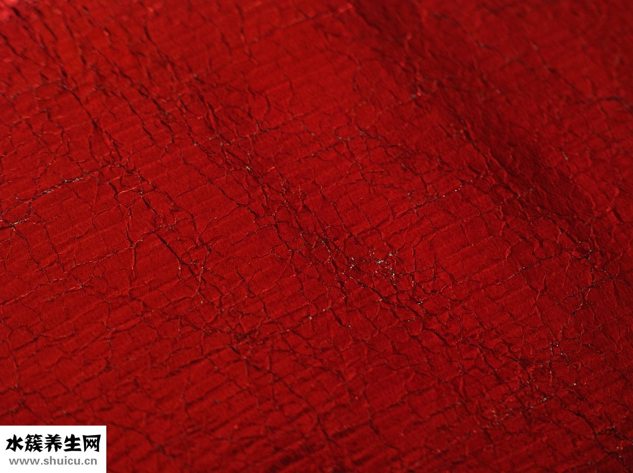 冰希黎怎么看真假