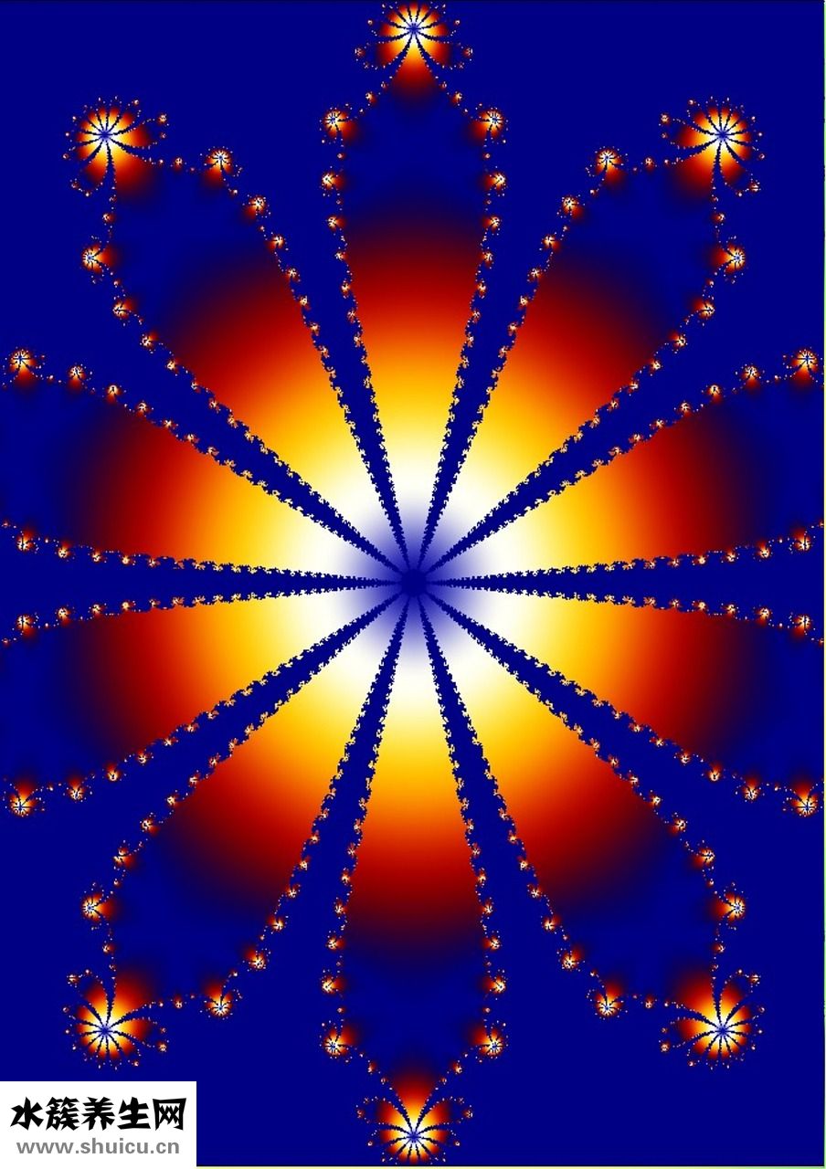 冰希黎怎么看真假