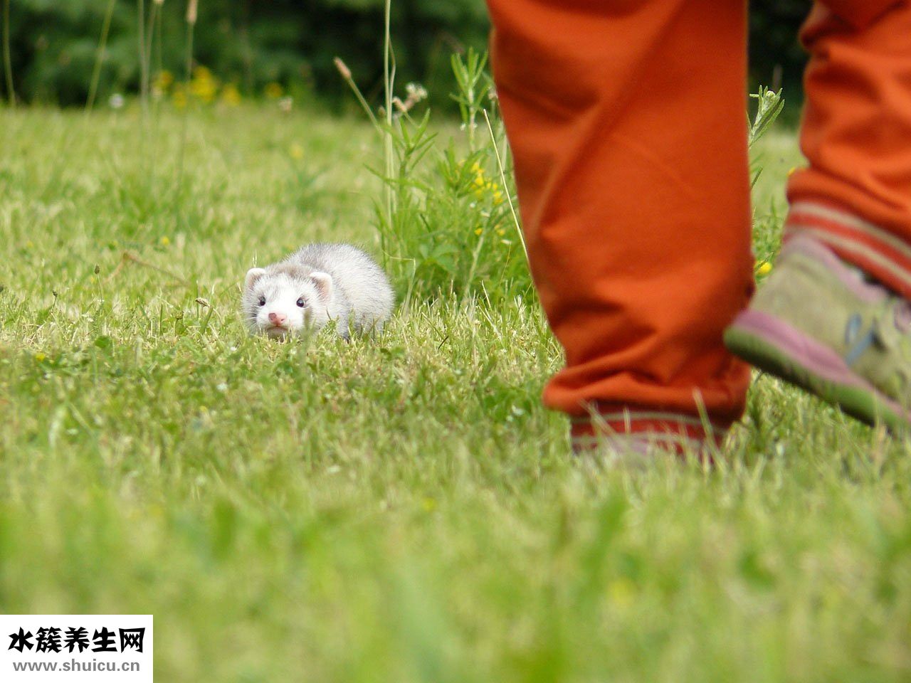 小兒體溫怎么量