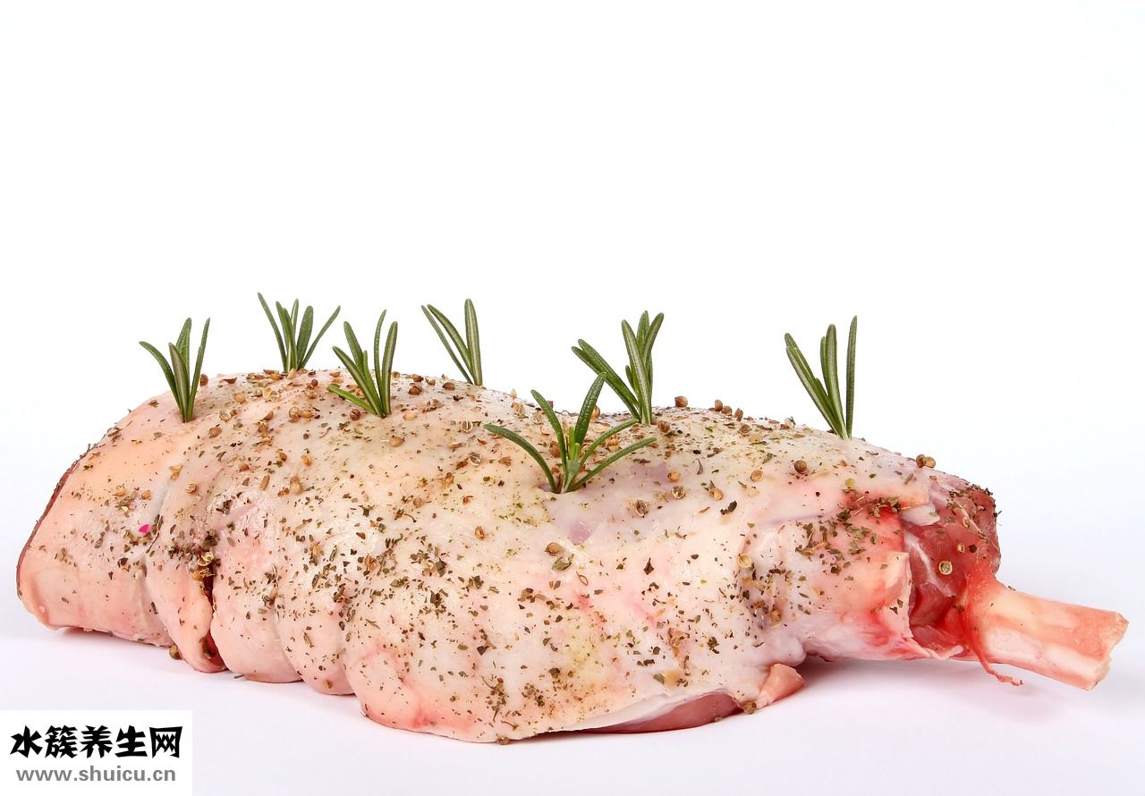 兔兔剛滿月怎么