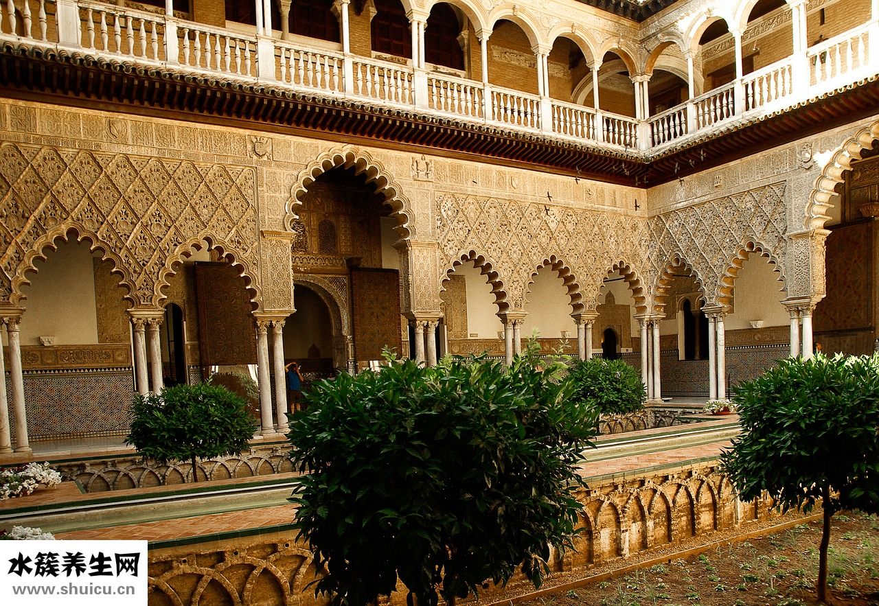 啤酒飲酒過量怎么辦