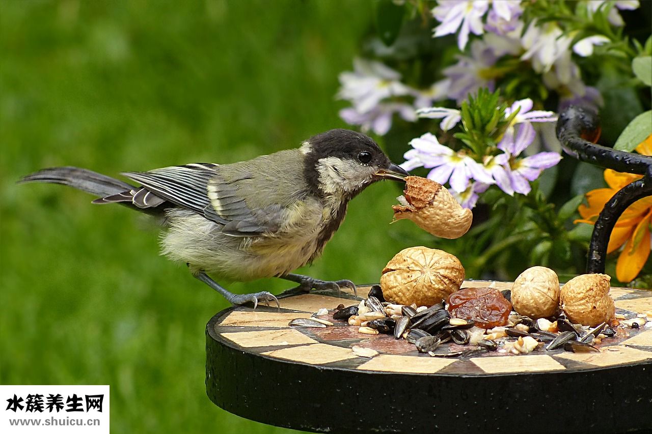 孕婦抻到怎么辦