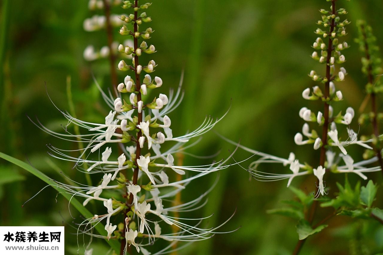 潔爾陰過敏怎么辦