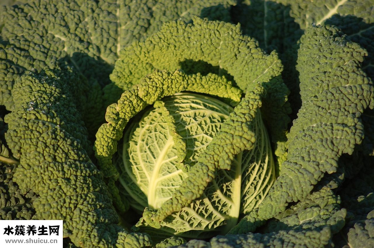 小腹松弛怎么辦