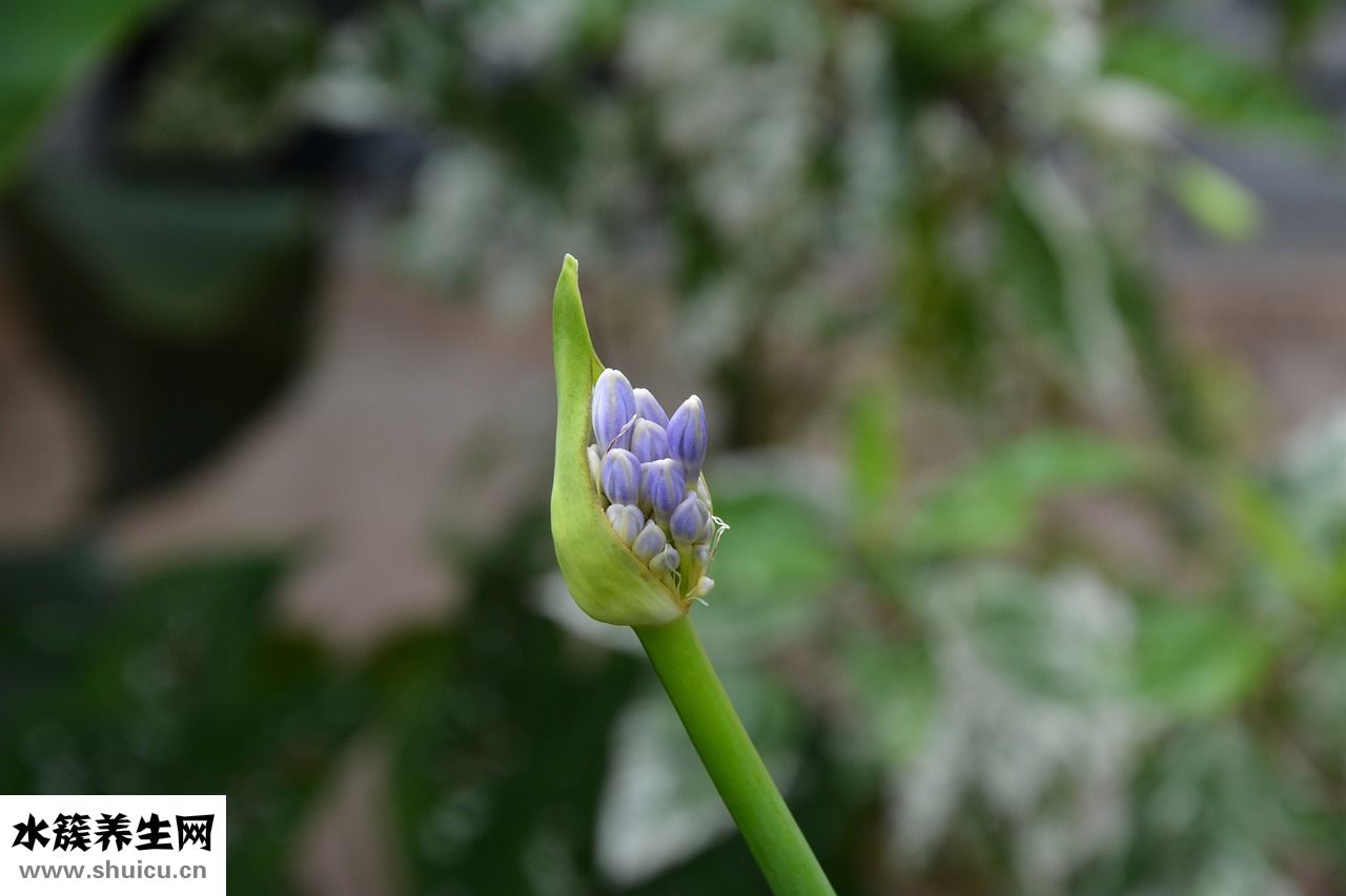 產婦大出血怎么急救