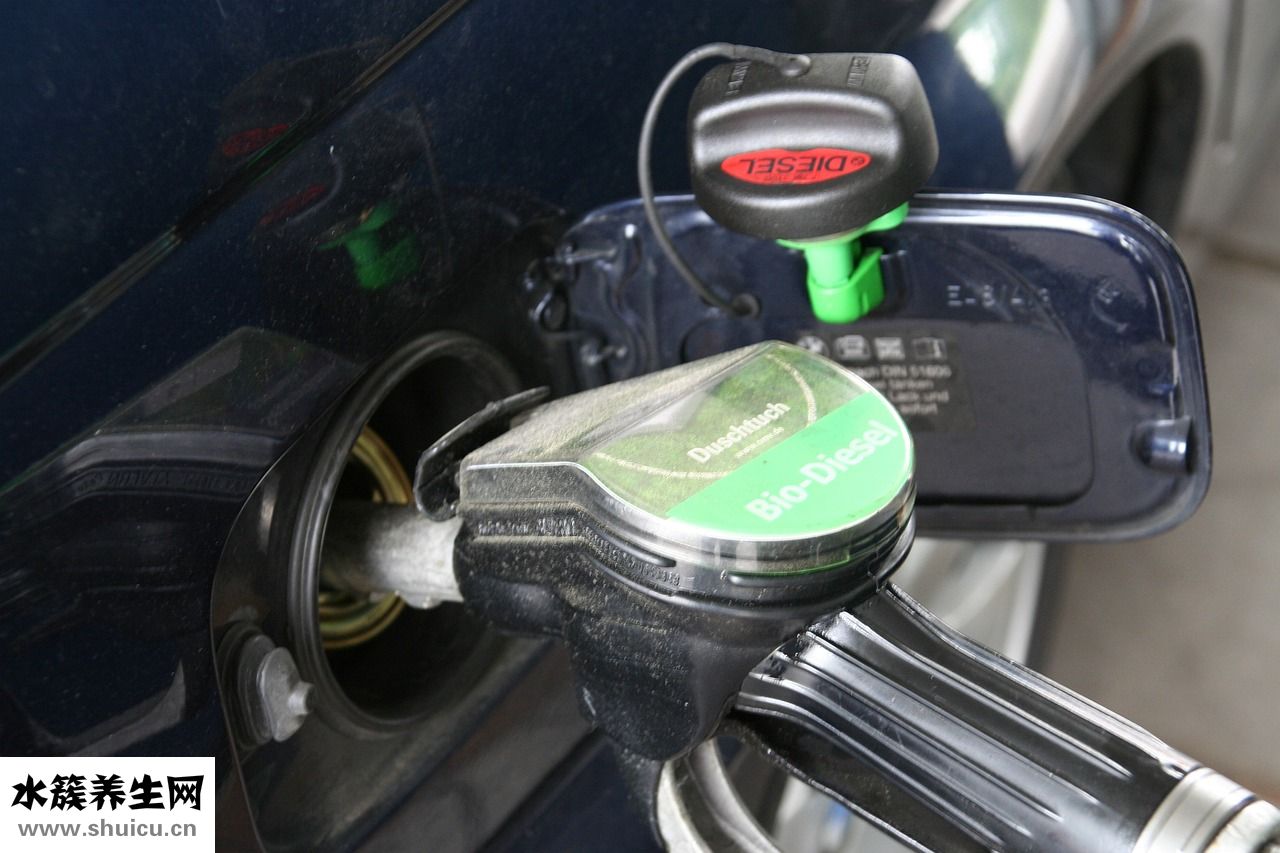 魚有柴油味怎么去除