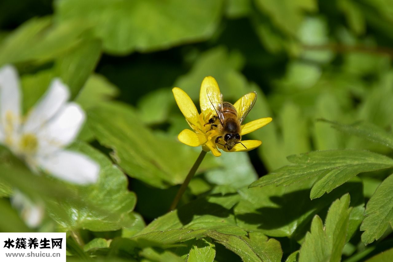 陳坤眼睛怎么了