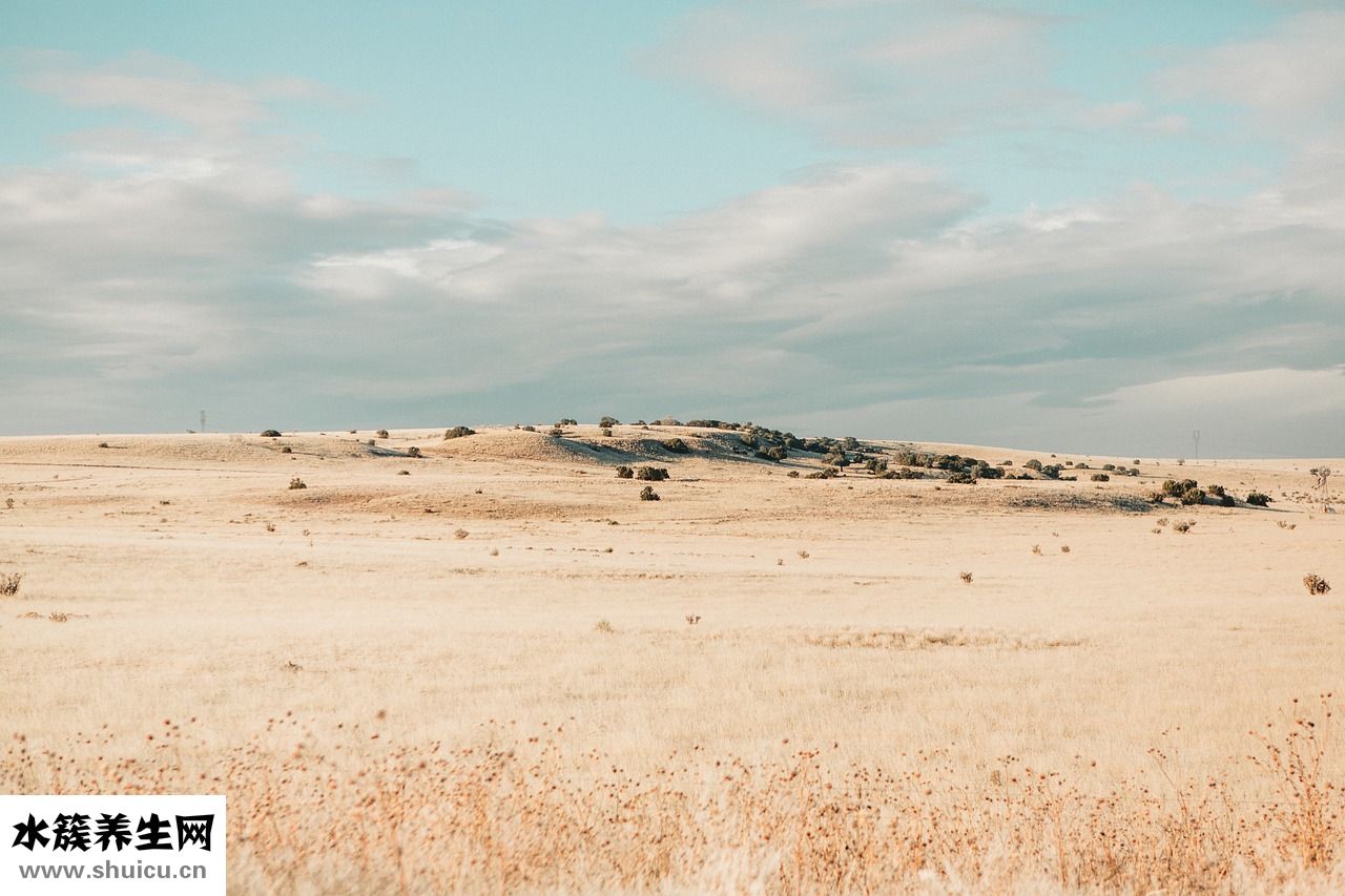 餅夾菜里的醬怎么熬