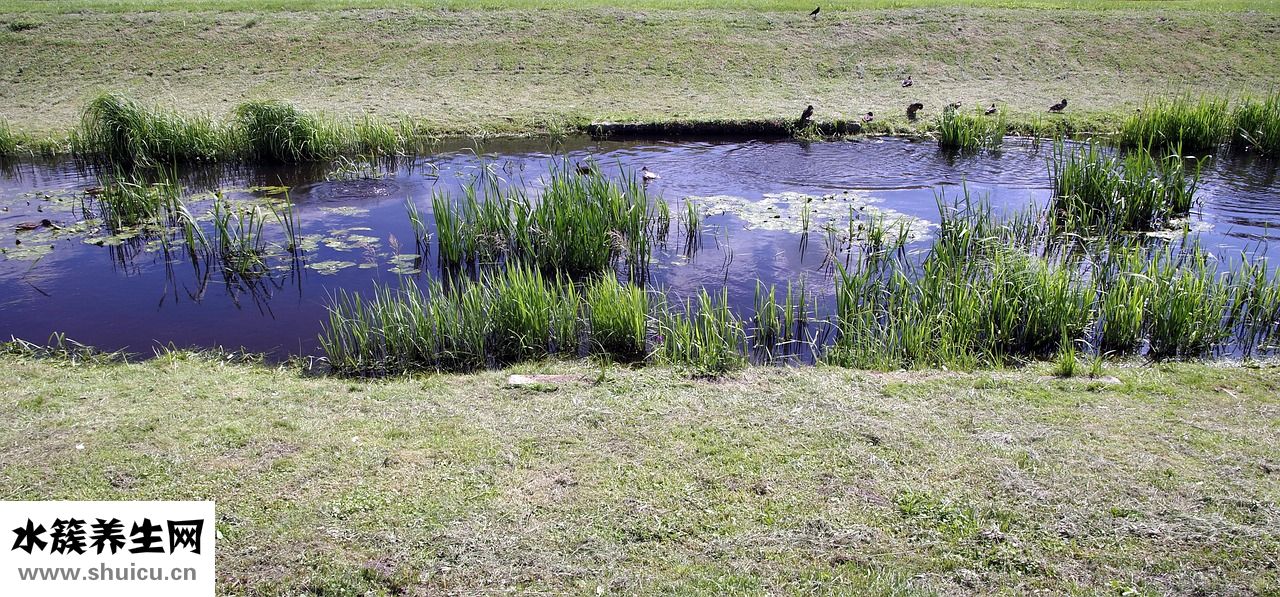 小河蝦怎么保存