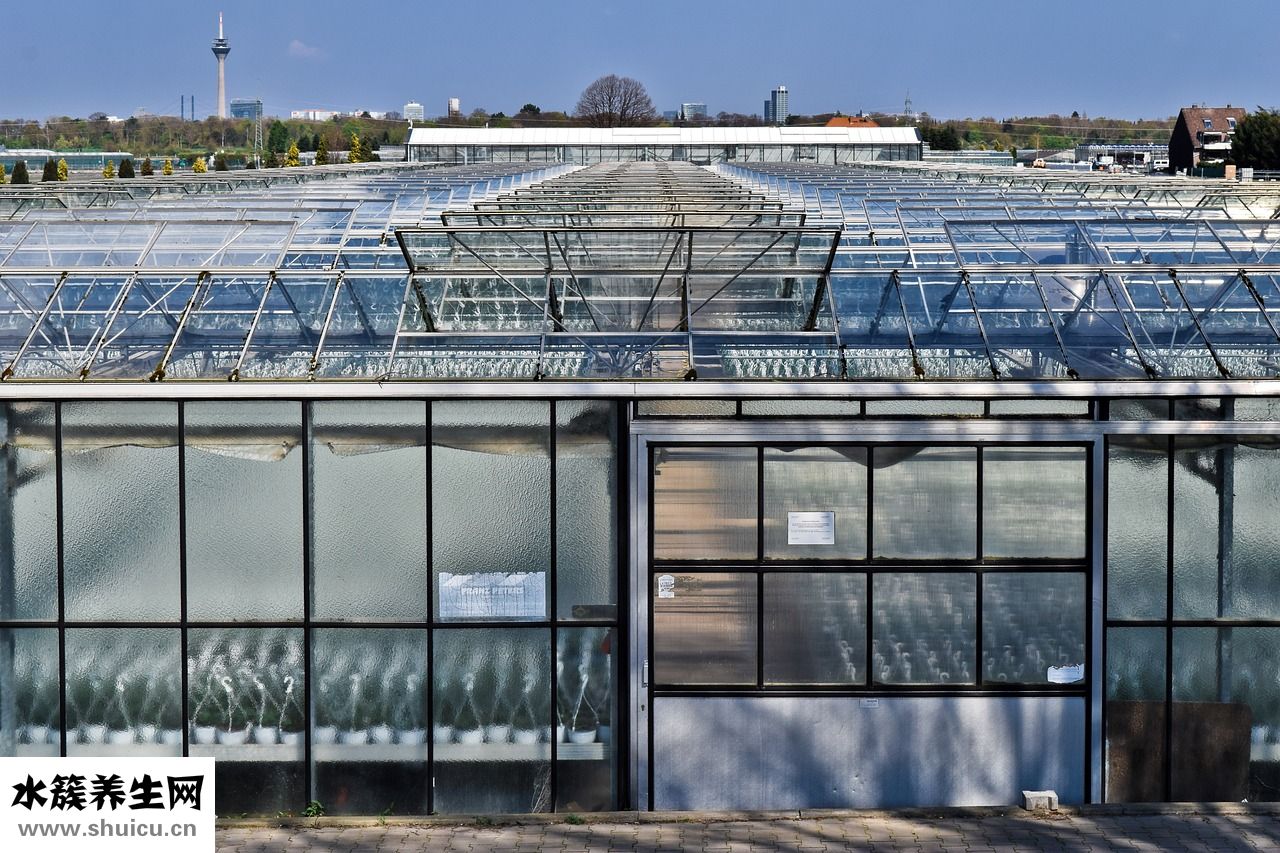 看到女生胸罩怎么辦