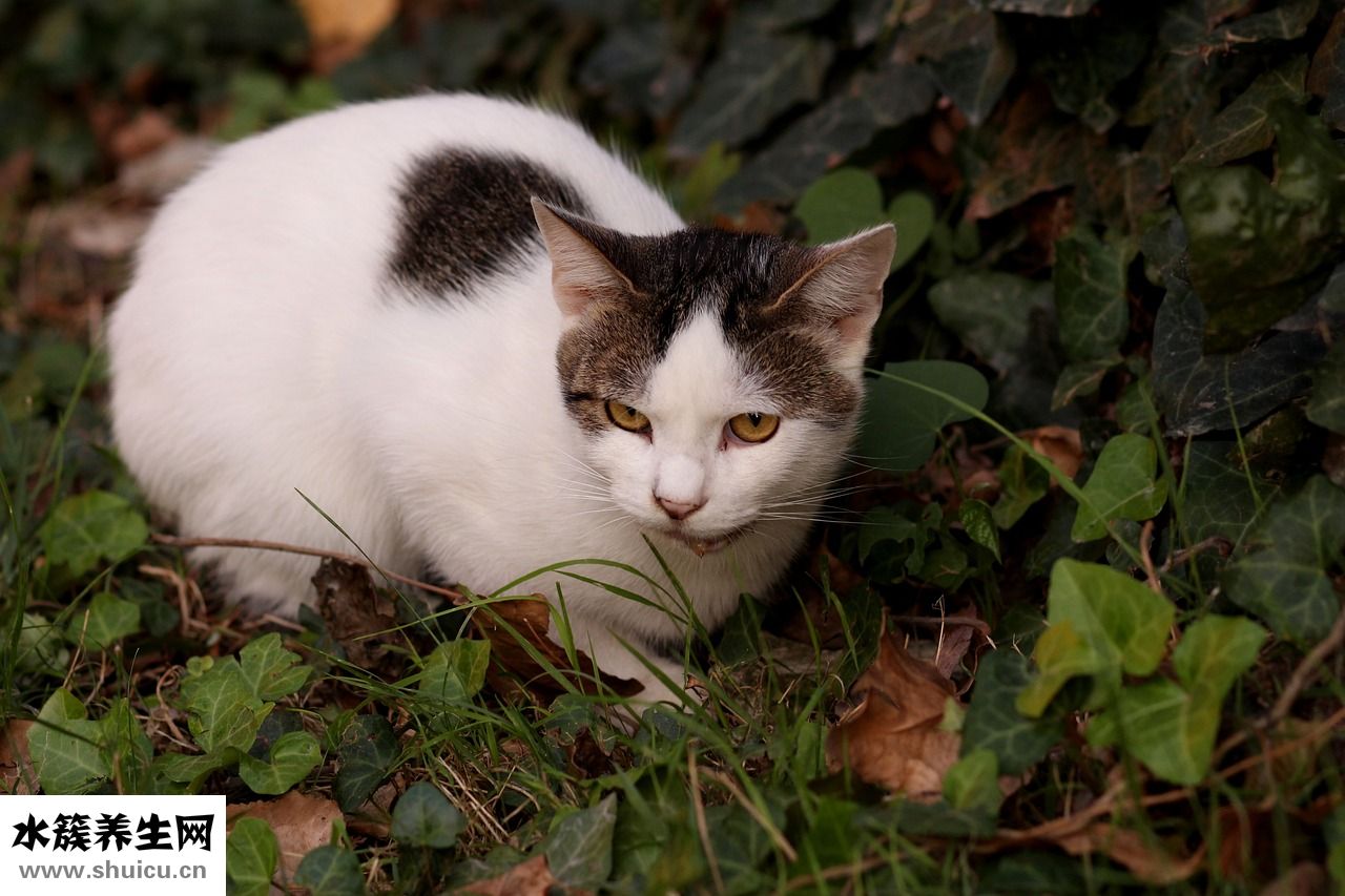 眼鏡高低怎么調(diào)